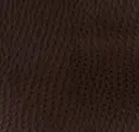 Chestnut