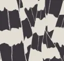 Zebra Oyster