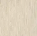 Sapwood