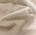 Fennec Fox