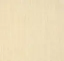 Desert Echo