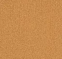 Golden Wheat