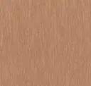 Penny Flake