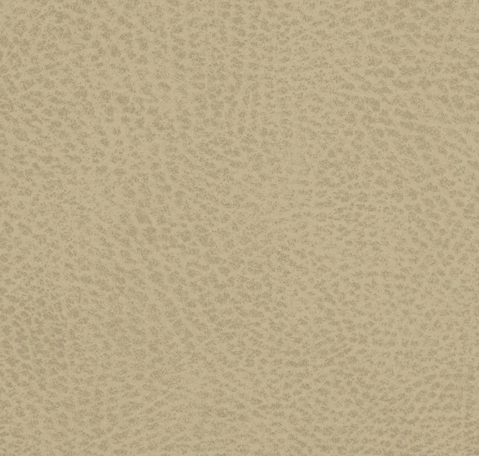 Main