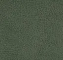 Bog