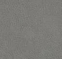 Cement