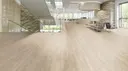 Windsor Oak Ashen