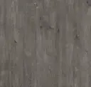 Moose