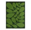 Dill