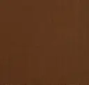 Raw Sienna