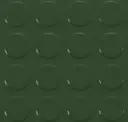 Forever Green