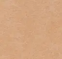 Prairie Sand - Pet Felt