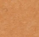 Toasted Grain - Pet Felt
