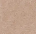 Sandpiper - Pet Felt