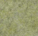 Lichen - Pet Felt