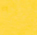 Goldfinch - Pet Felt
