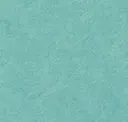 Belize - Pet Felt