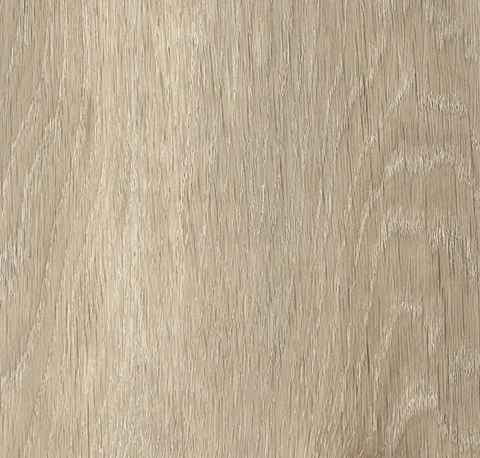 Main