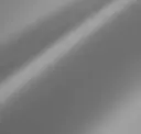 Metallic Silver