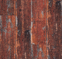 Cedar