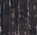 Obsidian