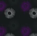 Violet - Dark