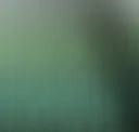 Botanical