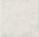 Brown Gray