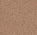 Gobi
