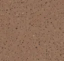 Terra
