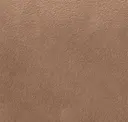Terra