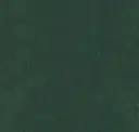 Dark Emerald Green Velvet