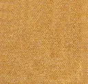 Mustard Yellow Twill