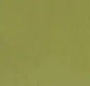 Tea Green Velvet
