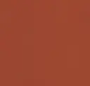Burnt Orange Leatherette