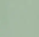 Sage Green Leatherette