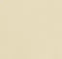 Almond Leatherette