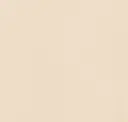 Pale Peach Leatherette