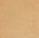 Tan Velvet