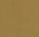 Dark Mustard Velvet