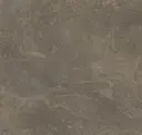 Coffee Waste Dark