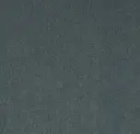 Petrol