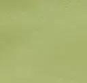 Pear Green