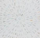 Frosty White