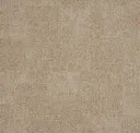 Hybrid Sepia