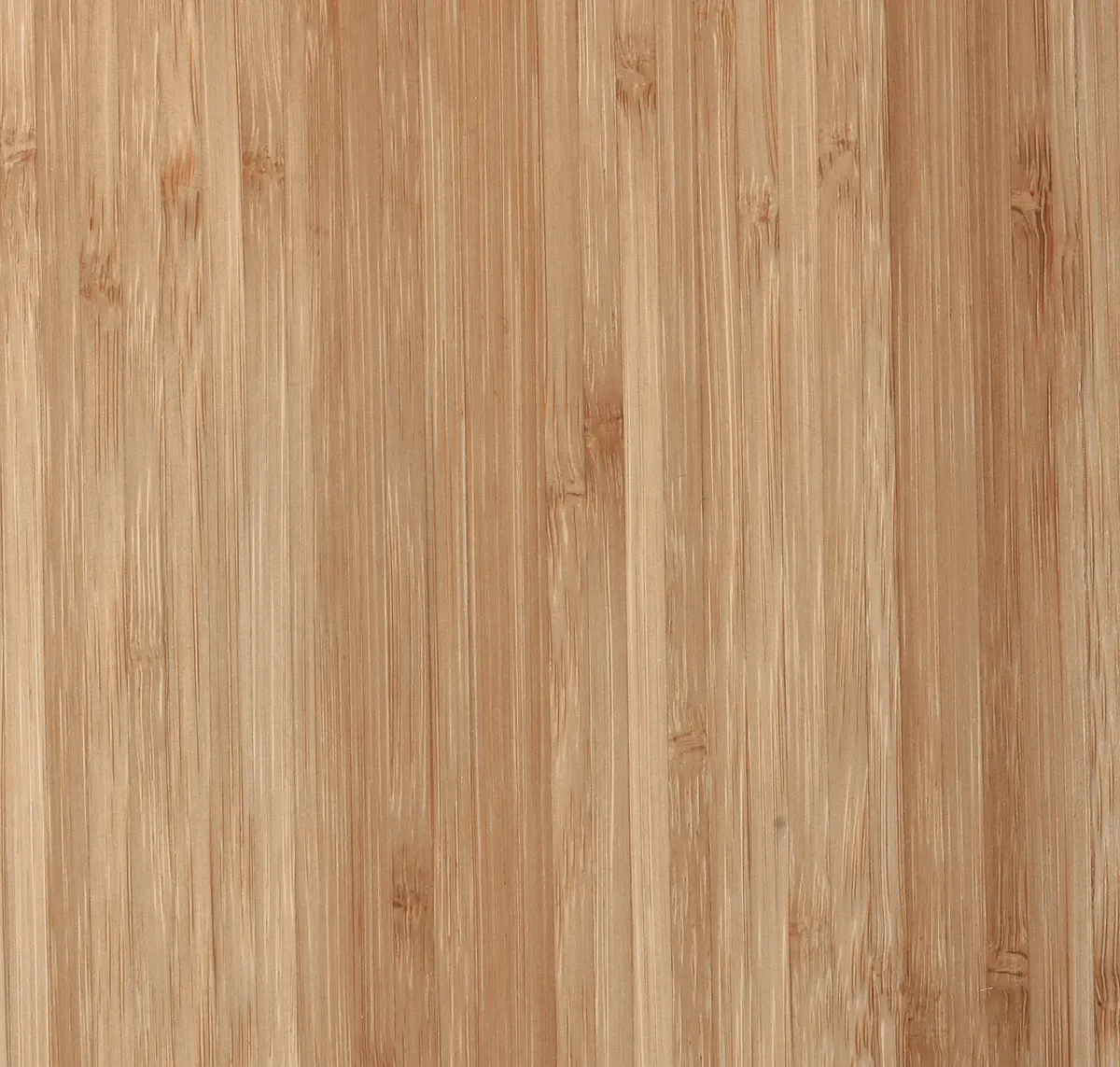 Main