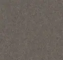Heathered Mocha