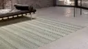 Iguana