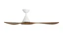 Matte White/distressed Koa