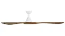 Matte White/distressed Koa